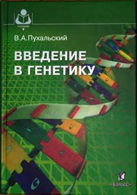Учебник Для Actionscript С Примерами На Русском